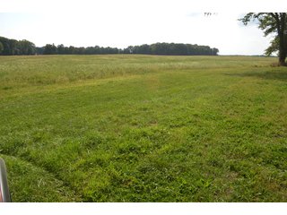 Dekalb County, Indiana Farmland - MAJOR LAND AUCTION - 516+/- ACRES OFFERED IN 18 TRACTS OR COMBINATIONS IN DEKALB COUNTY, INDIANA